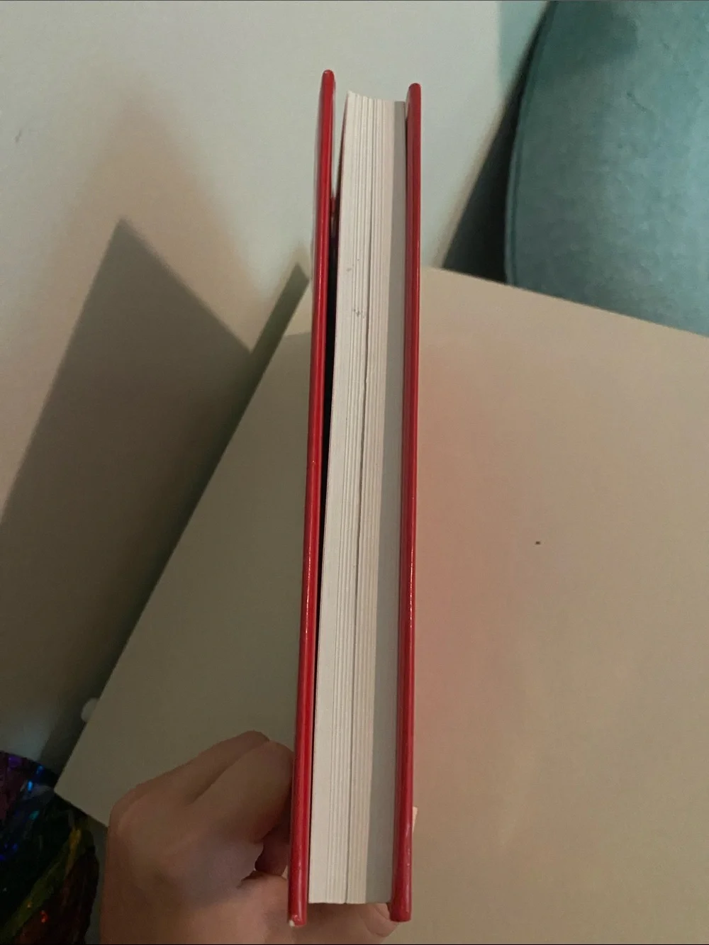 “My Beef With Meat” hardcover